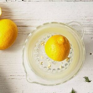 Sur La Table Glass Citrus Juicer